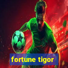 fortune tigor