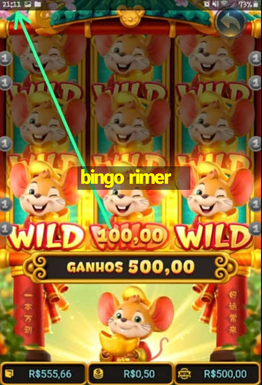 bingo rimer