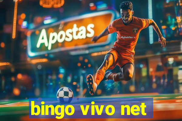 bingo vivo net