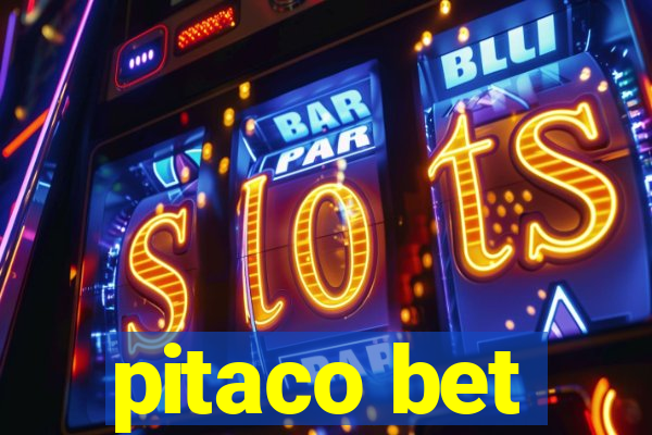 pitaco bet