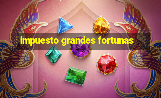 impuesto grandes fortunas