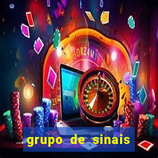 grupo de sinais fortune tiger