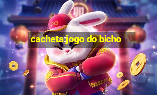 cacheta:jogo do bicho