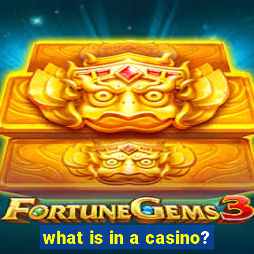 what is in a casino?