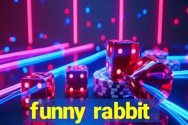 funny rabbit