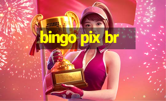 bingo pix br