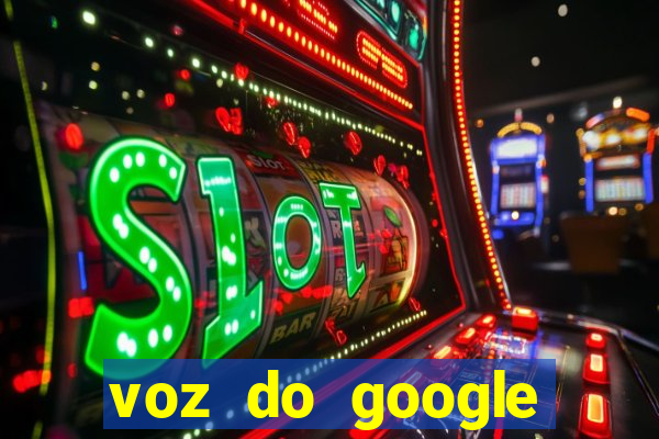 voz do google tradutor homem