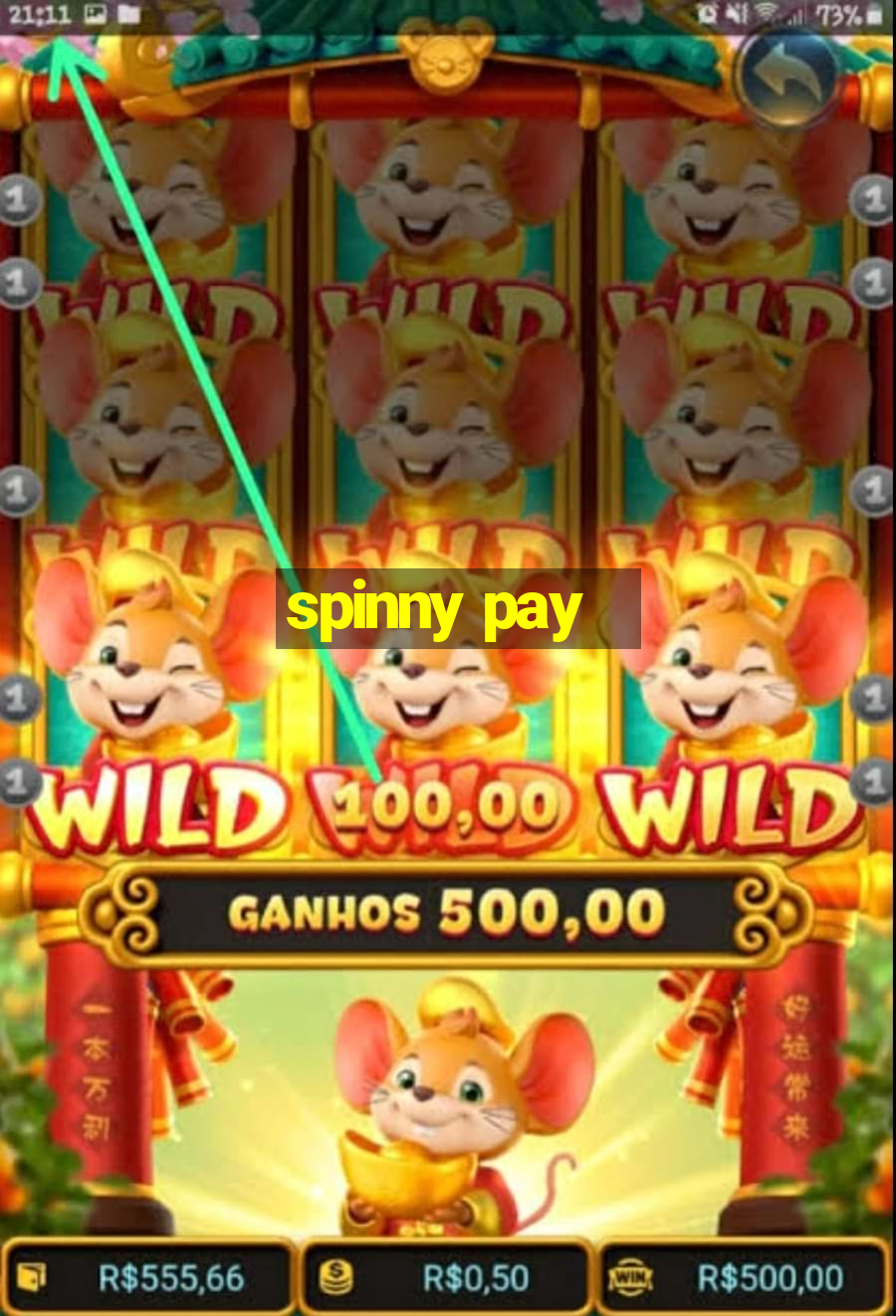 spinny pay