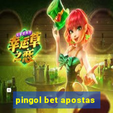 pingol bet apostas