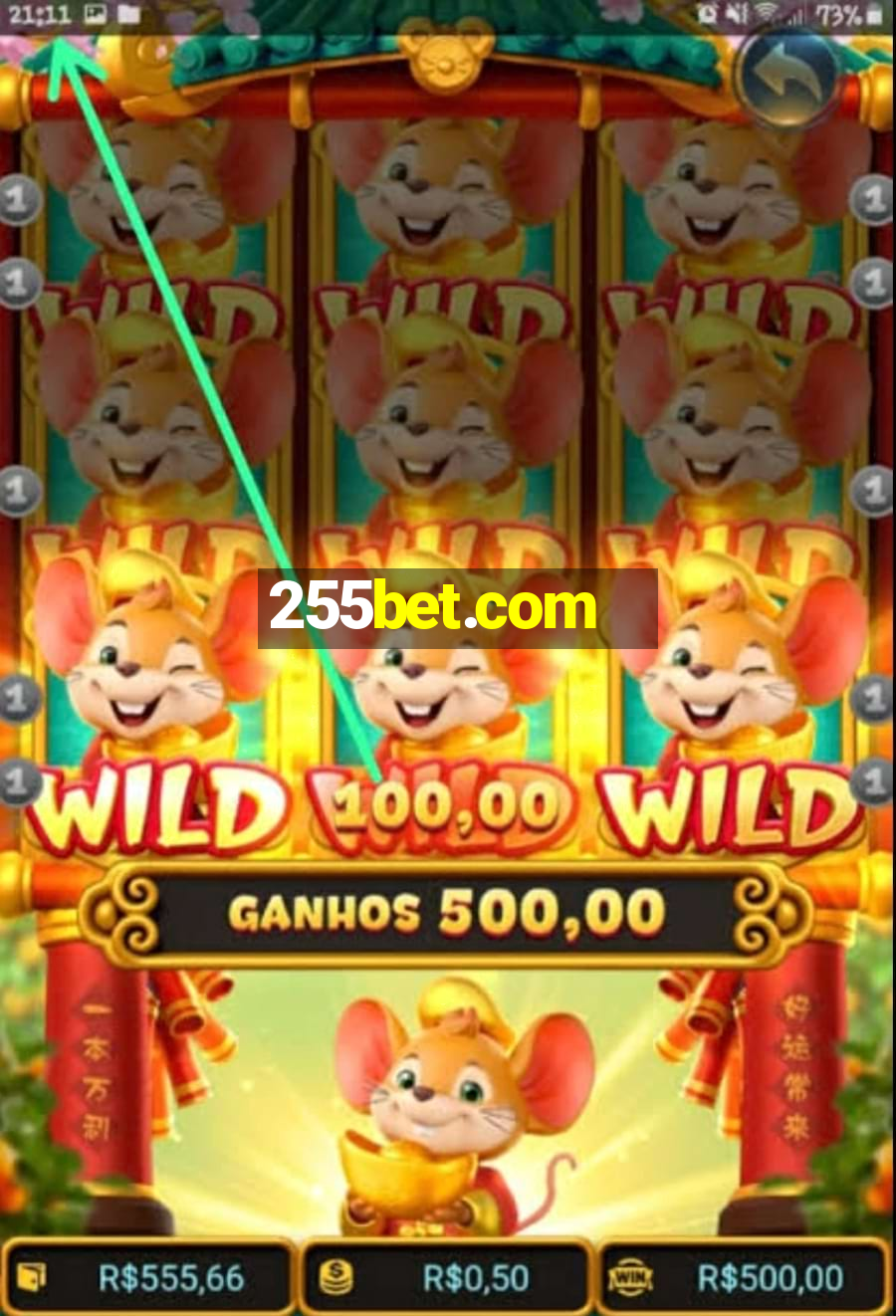 255bet.com