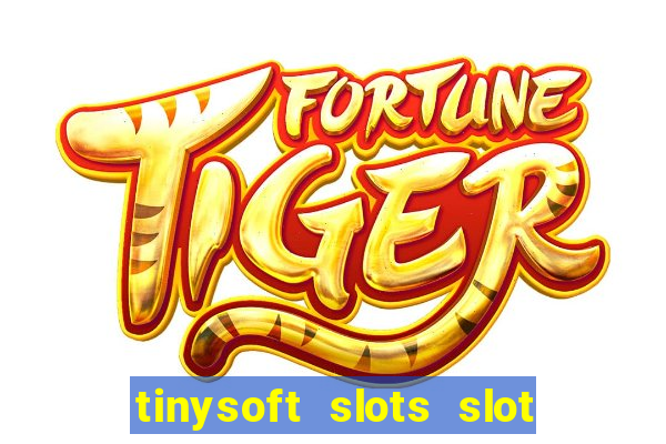 tinysoft slots slot machines & casino games