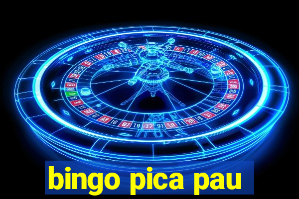 bingo pica pau