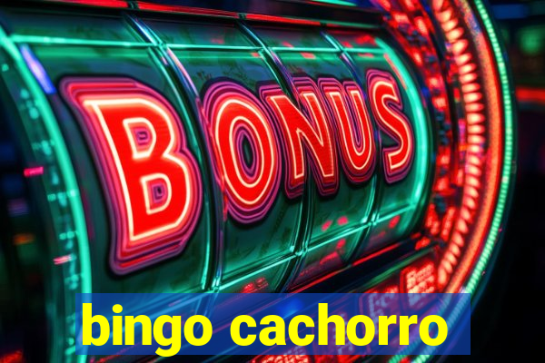 bingo cachorro