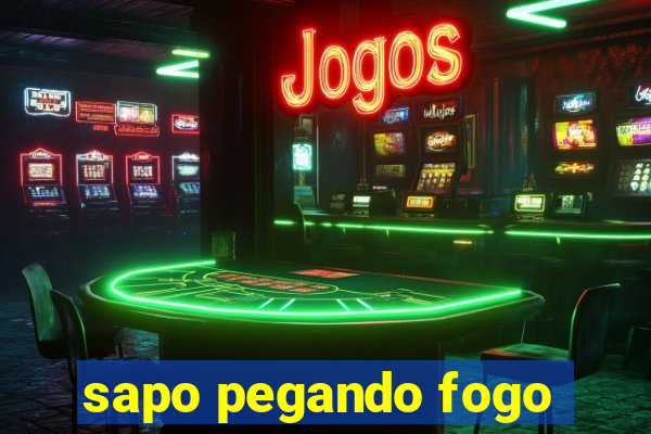 sapo pegando fogo