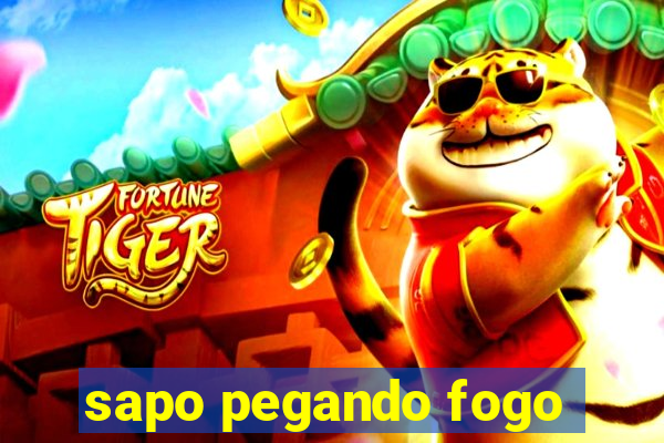 sapo pegando fogo