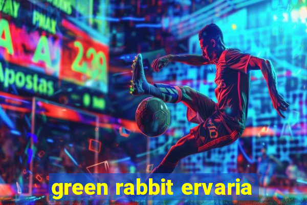 green rabbit ervaria