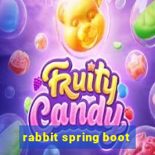 rabbit spring boot