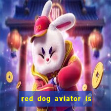 red dog aviator is real or fake