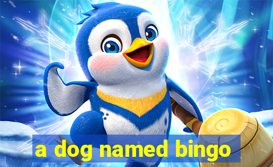 a dog named bingo