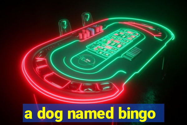 a dog named bingo