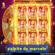 palpite do marcelo