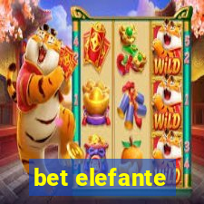 bet elefante