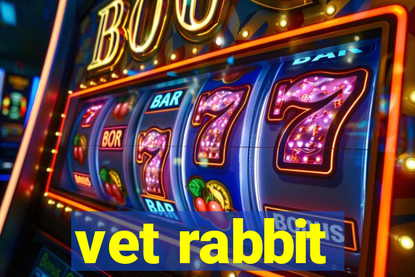 vet rabbit