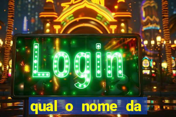 qual o nome da casinha do pinguim