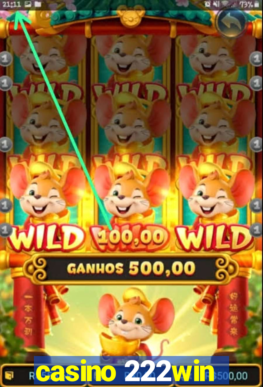 casino 222win