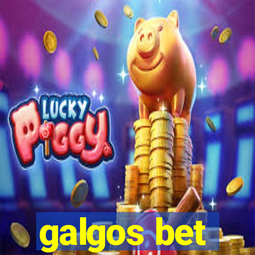 galgos bet