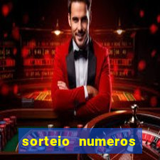 sorteio numeros bingo online