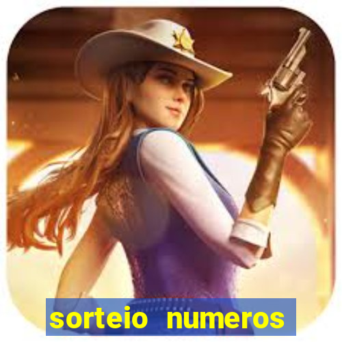 sorteio numeros bingo online