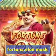 fortuna.elon musk