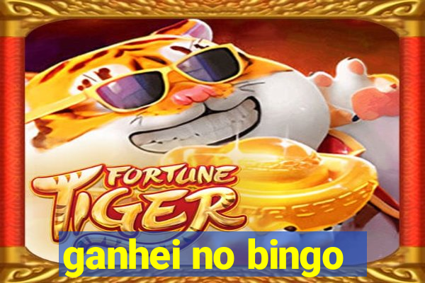 ganhei no bingo