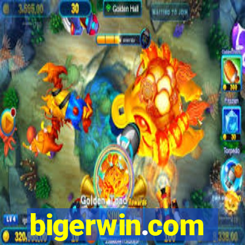 bigerwin.com