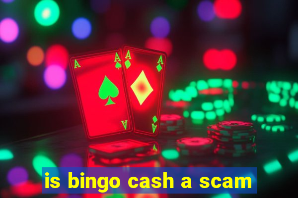 is bingo cash a scam