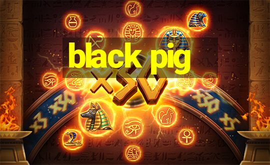 black pig