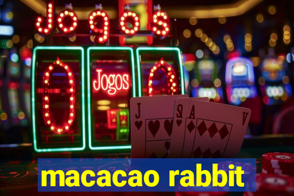 macacao rabbit