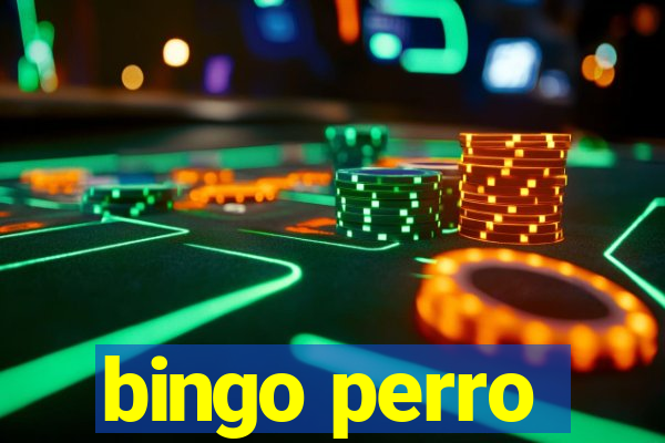 bingo perro