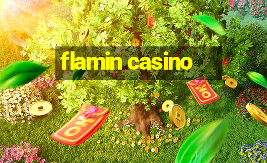 flamin casino