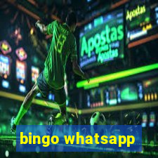 bingo whatsapp