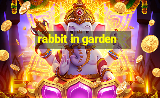 rabbit in garden