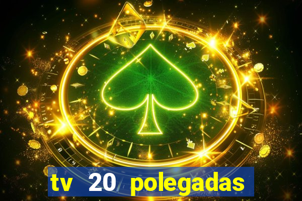 tv 20 polegadas casas bahia