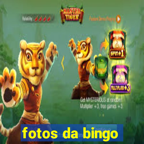 fotos da bingo