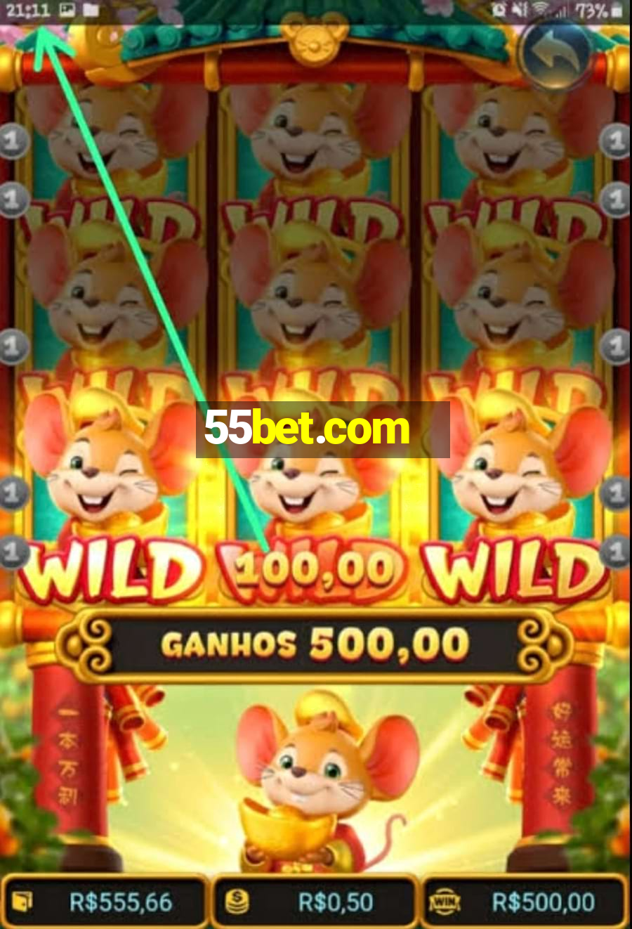 55bet.com