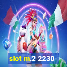 slot m.2 2230