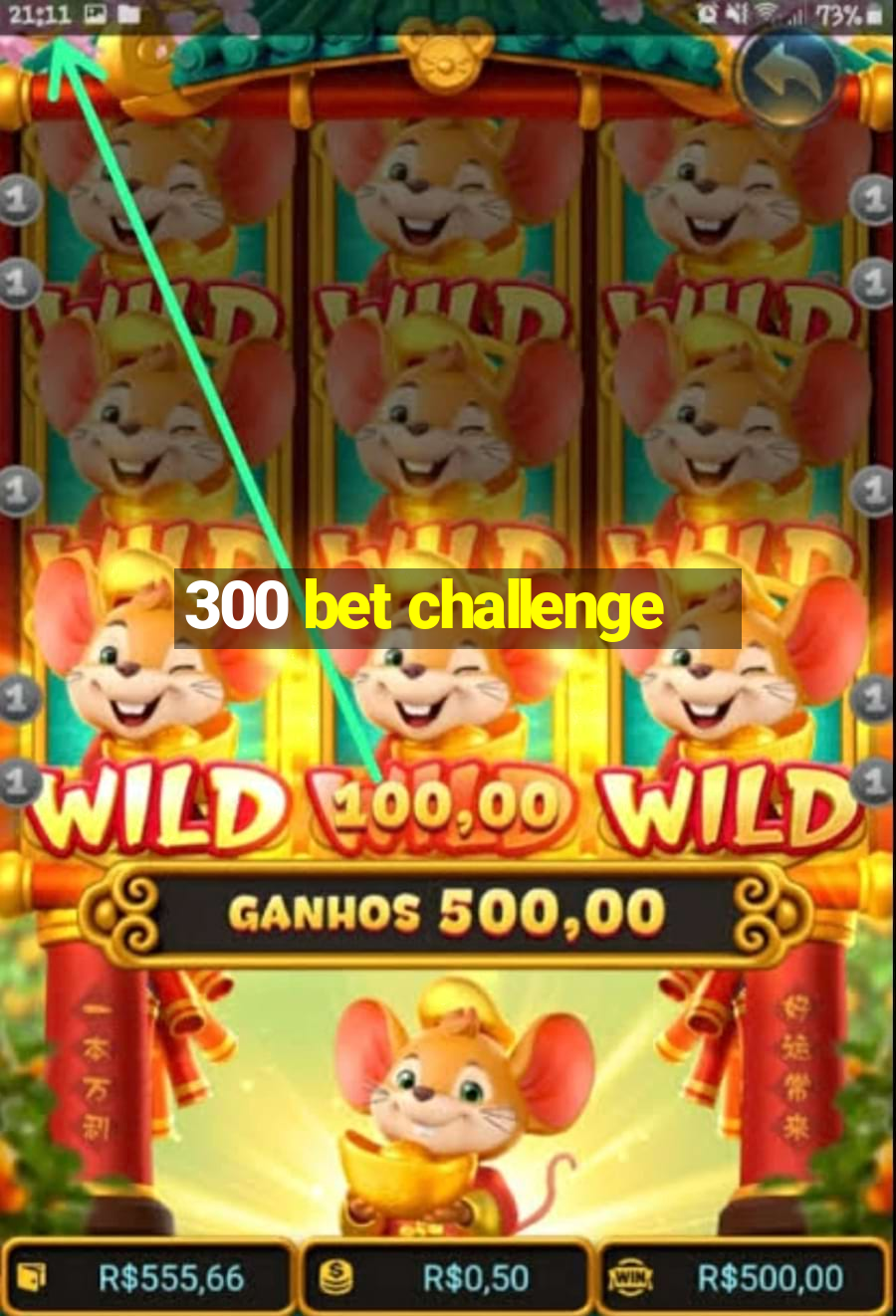 300 bet challenge