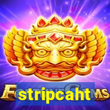 stripcaht