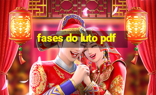 fases do luto pdf