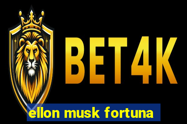 ellon musk fortuna